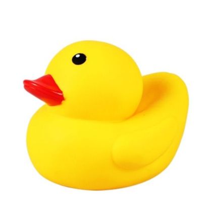 Picture of Playtime Big Duck toy