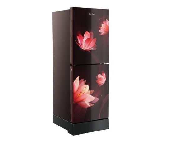 Picture of Fresh Magic Pro 278L GD Florina Red