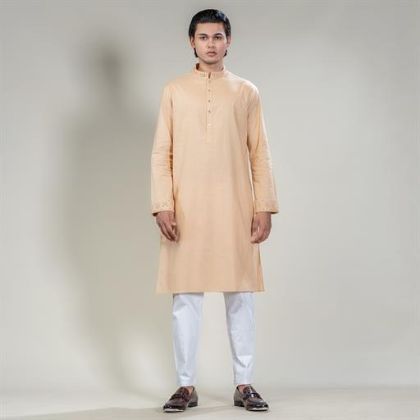 Picture of Mirror work panjabi