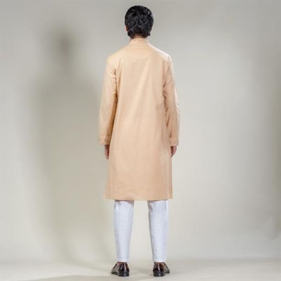 Picture of Mirror work panjabi