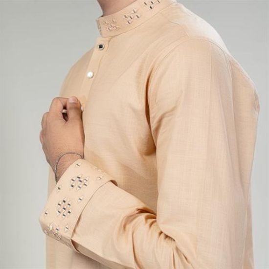 Picture of Mirror work panjabi