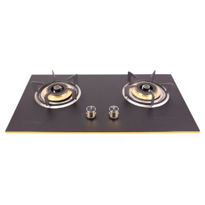Picture of TG-202 - Gazi Smiss Gas Stove