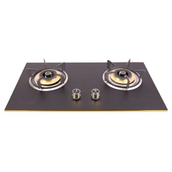 Picture of TG-202 - Gazi Smiss Gas Stove